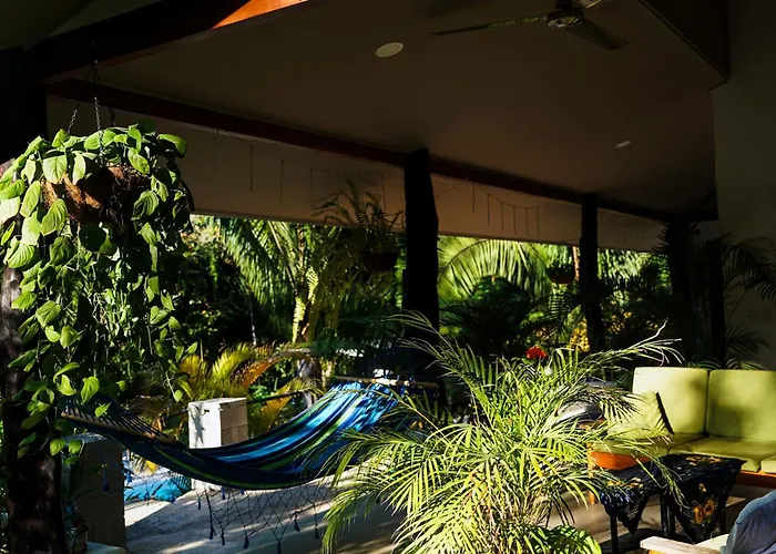 House In The Palm Forest Puerto Carrillo