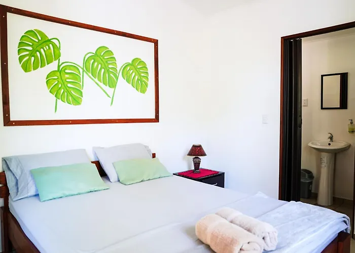 House In The Palm Forest * Puerto Carrillo