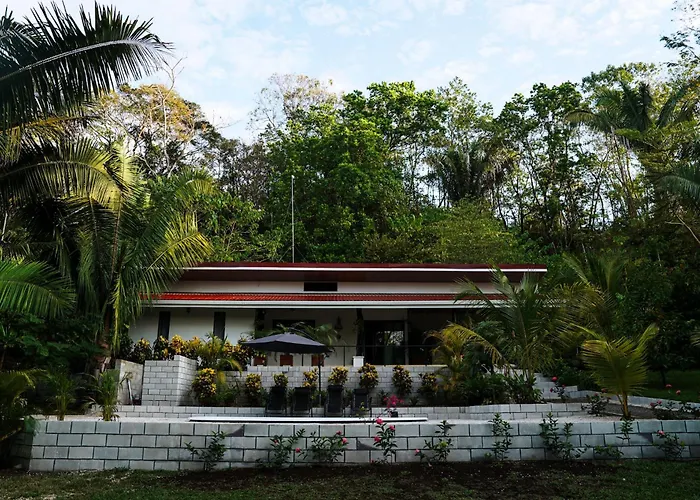 House In The Palm Forest Séjour chez l'habitant Puerto Carrillo