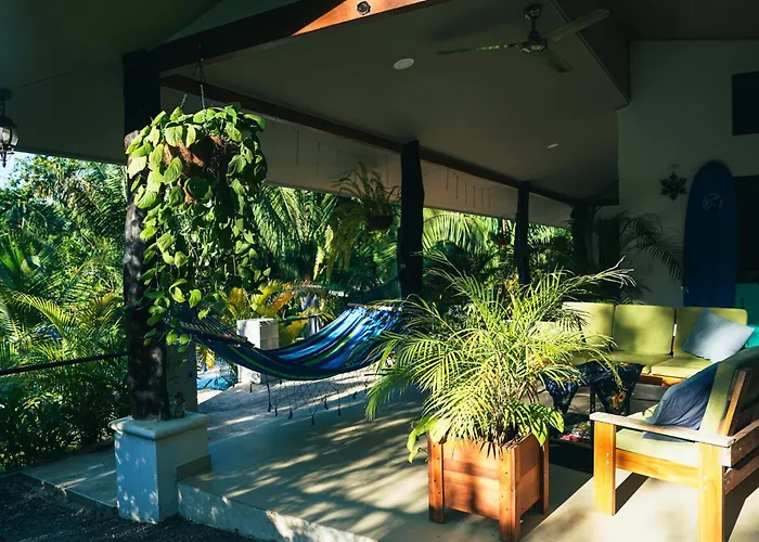 House In The Palm Forest *