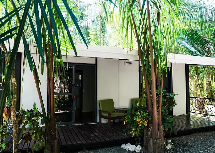 House In The Palm Forest *