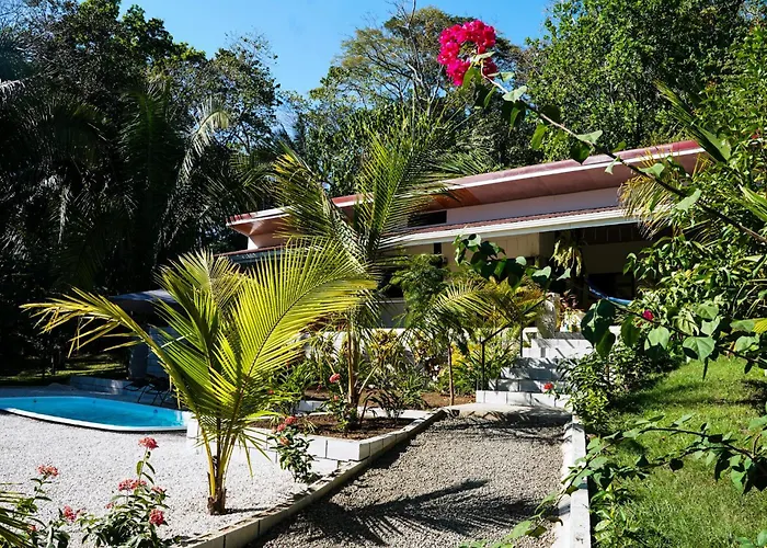 House In The Palm Forest Séjour chez l'habitant *