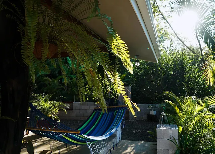 House In The Palm Forest Séjour chez l'habitant *
