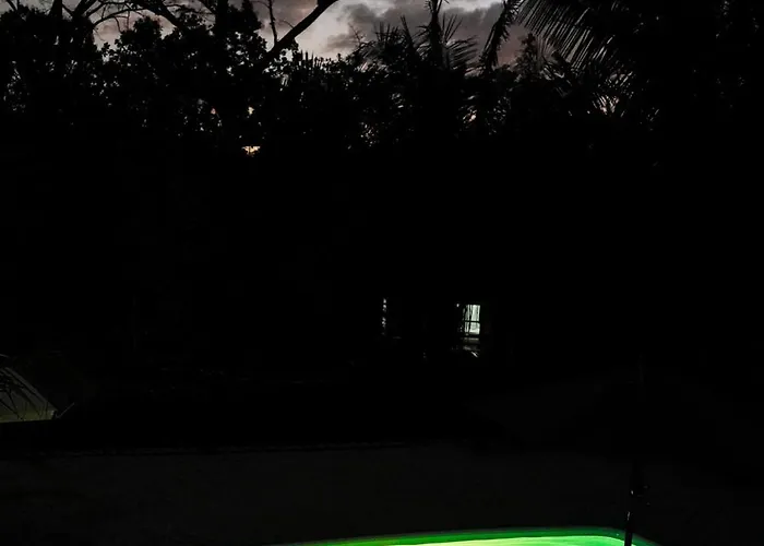 House In The Palm Forest Puerto Carrillo