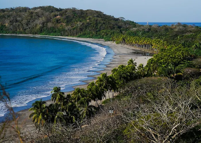 House In The Palm Forest * Puerto Carrillo