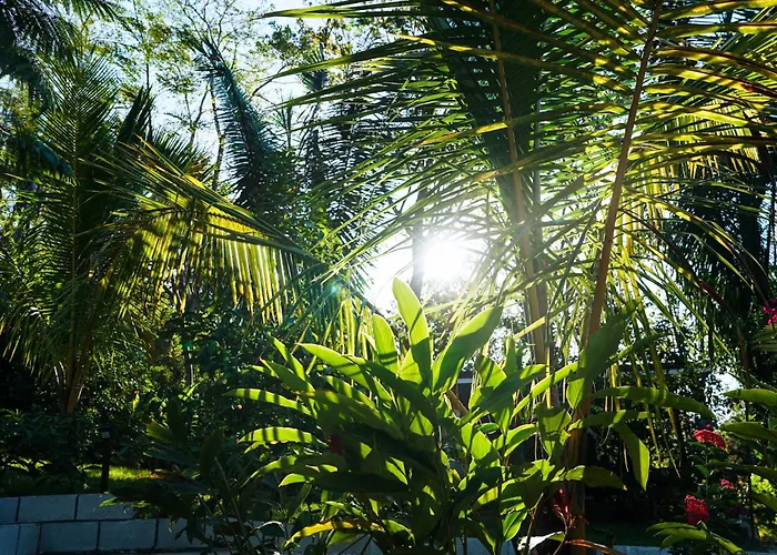 House In The Palm Forest Puerto Carrillo
