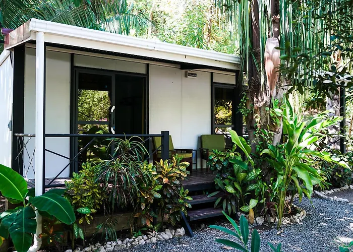Séjour chez l'habitant House In The Palm Forest *