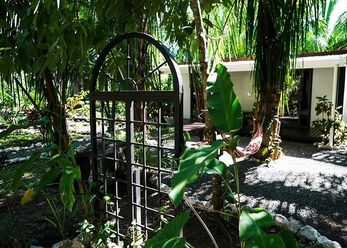House In The Palm Forest