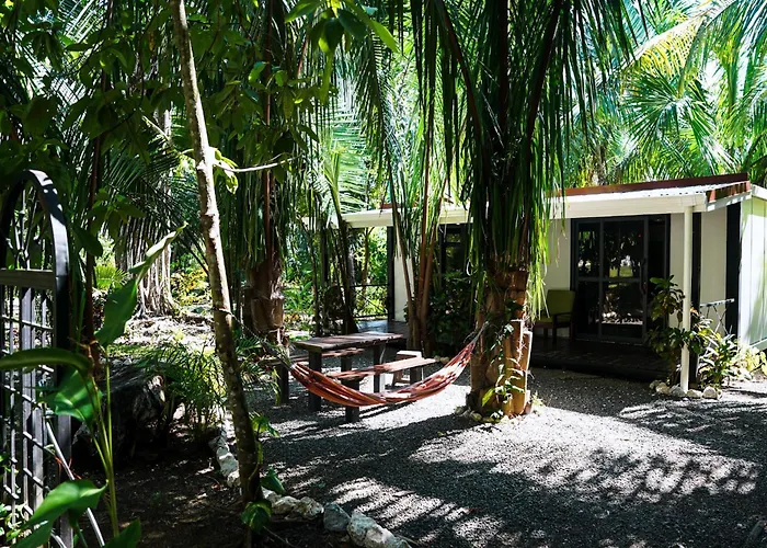 Séjour chez l'habitant House In The Palm Forest