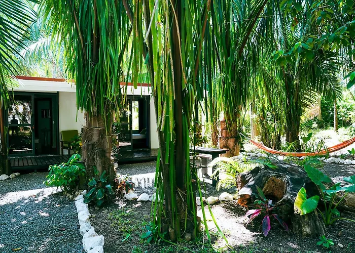 House In The Palm Forest * Puerto Carrillo