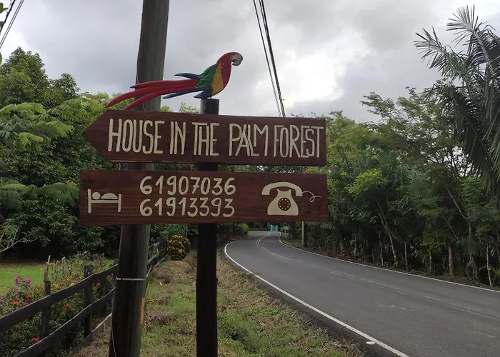 House In The Palm Forest Puerto Carrillo