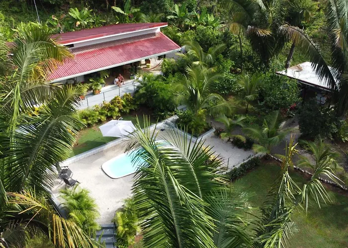 House In The Palm Forest *