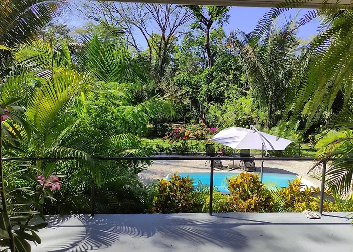 Séjour chez l'habitant House In The Palm Forest *