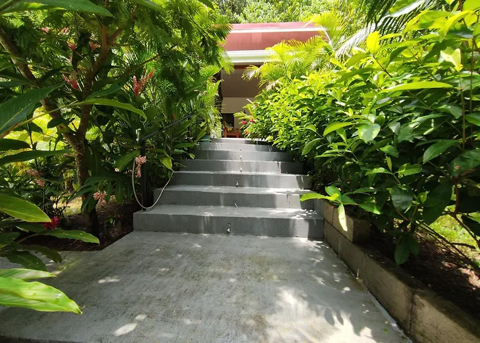 House In The Palm Forest